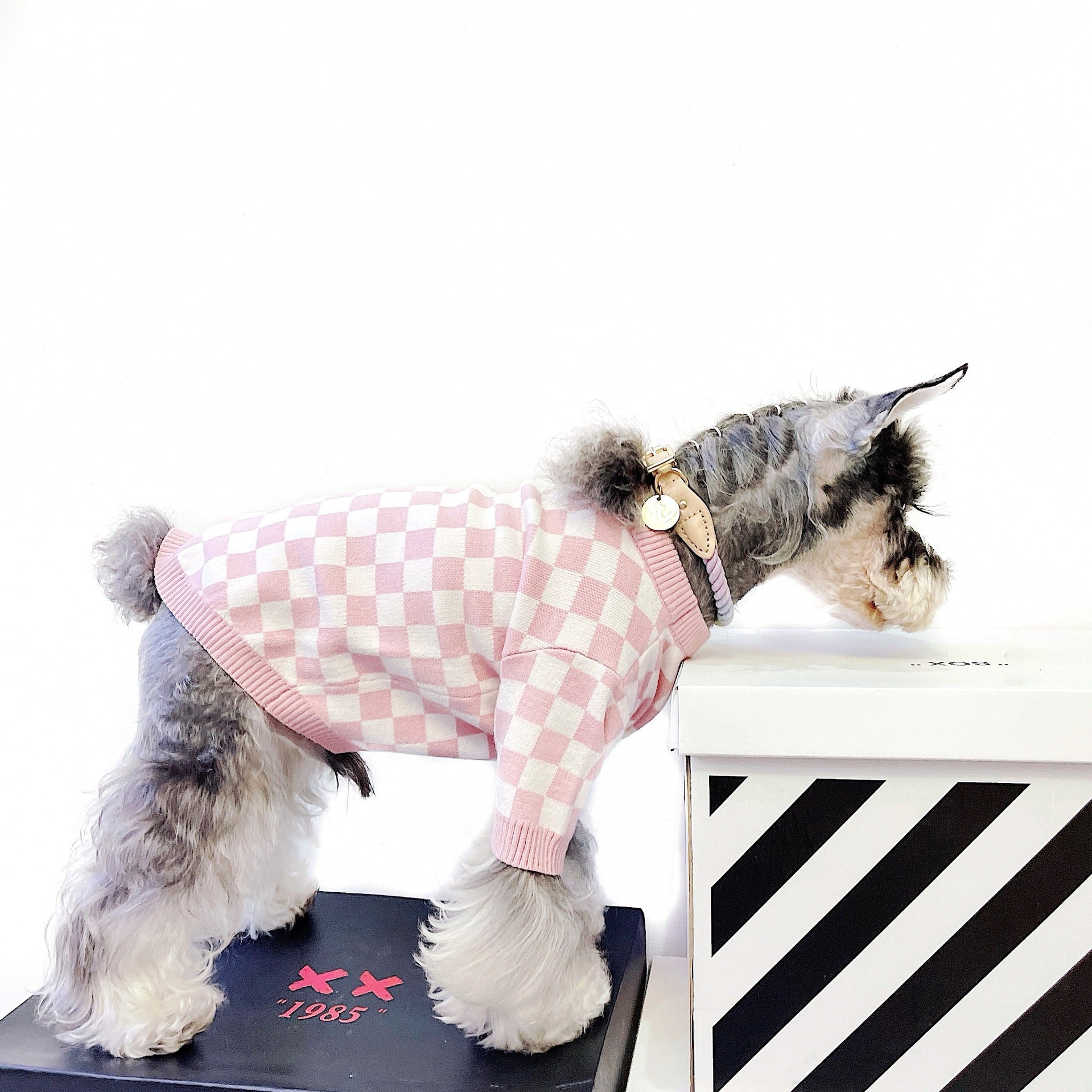 Why Your Dog Deserves the Pet Dog Short Girlish Checkerboard Sweater